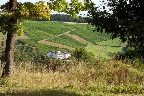 Benz Weingut & Weinhotel