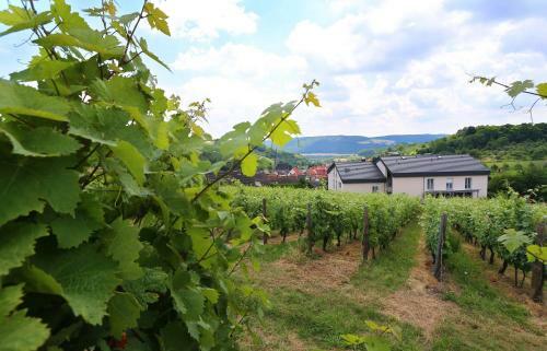 Benz Weingut & Weinhotel