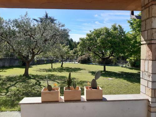 Bellavista 37