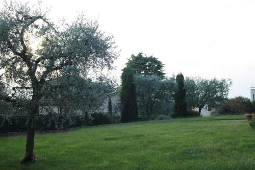 Apartment In Bardolino - Gardasee 39722