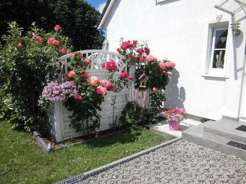 Apartamento Lilly & Fine