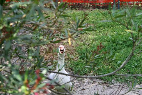 Apartamento La Casetta Di Piera