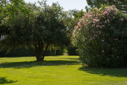 Apartamento Villa Aia Vecchia