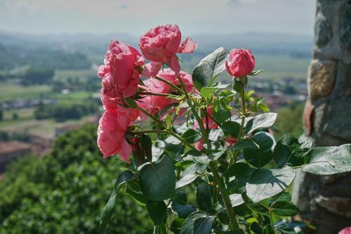 B&B Antiche Pietre