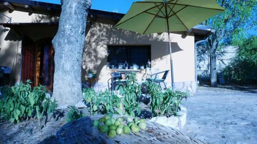 Bed & Breakfast Aspromonte Yellow House