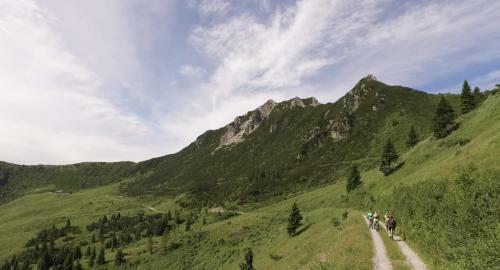 Hostal Nelle Stanze Del Matese