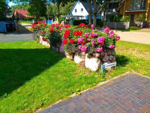 Apartamentos Lavendelblume