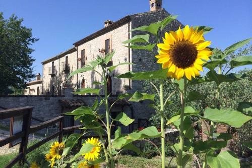 Apartamento Casa Majella Di Casale Corneto