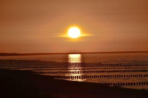 Apartamento Chalet Zingst