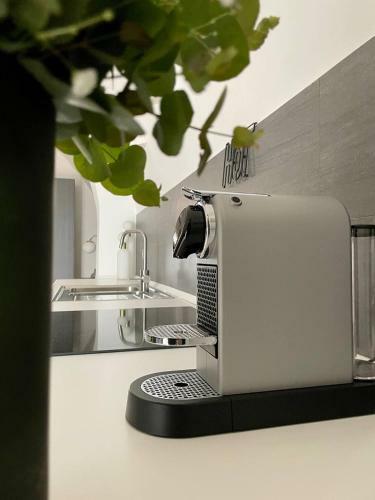 Apartamento Loft Pedone
