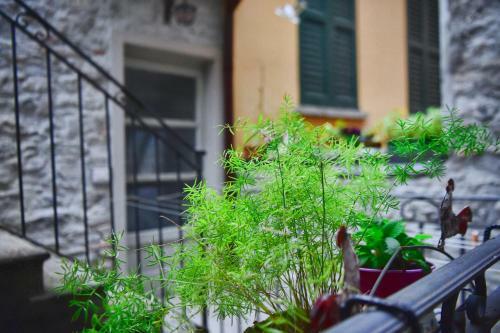 Apartamento Easy Welcome Ca' Del Pepoto