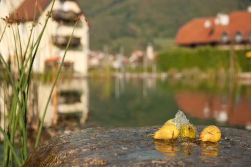 Hotel Residenz Wachau