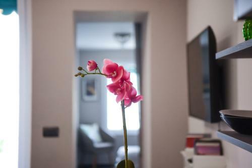 Easy Welcome Terrazza Mazzini Apartments - Deluxe