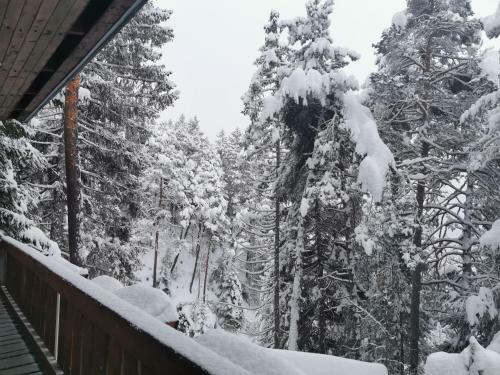 Chalet Nel Bosco