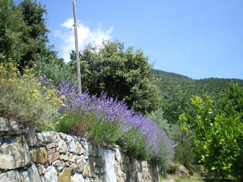 Cottage La Torre Del Pittore