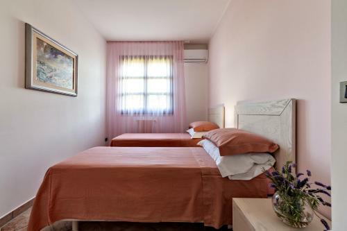 Agroturismo Olive Garden House