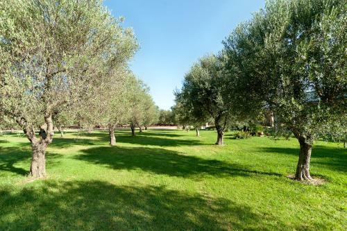 Agroturismo Olive Garden House