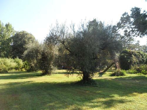 Residence Valdilago