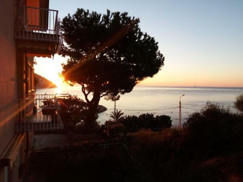 Apartamento Punta Sole