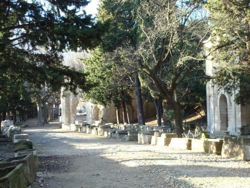 Apartamentos Arles Les Alyscamps