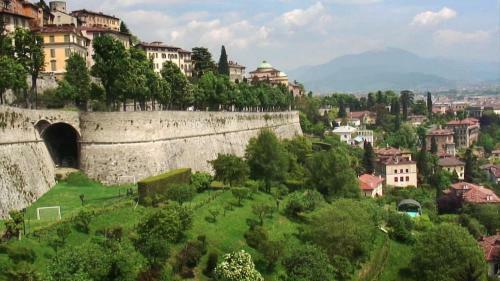 Oasi