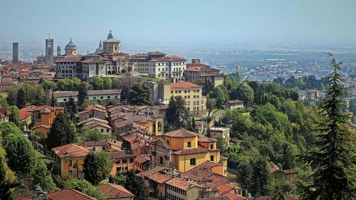 Oasi