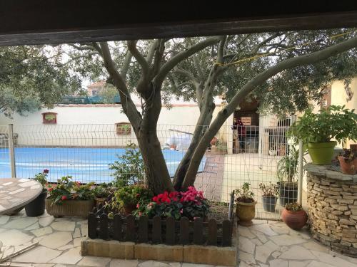 Bed & Breakfast Chambre D'h�tes - Les Oliviers