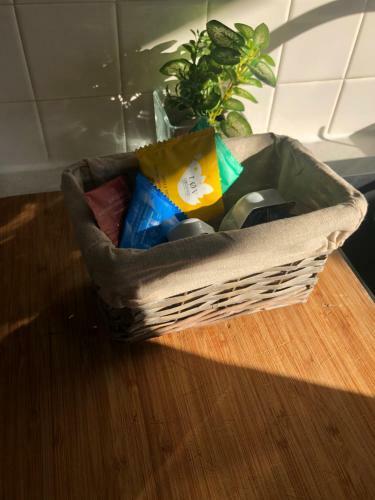 Apartamento Appartement L'olivier