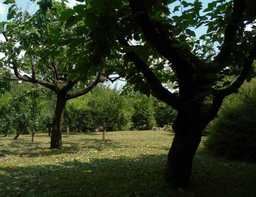 Cascina Cavalli Astino