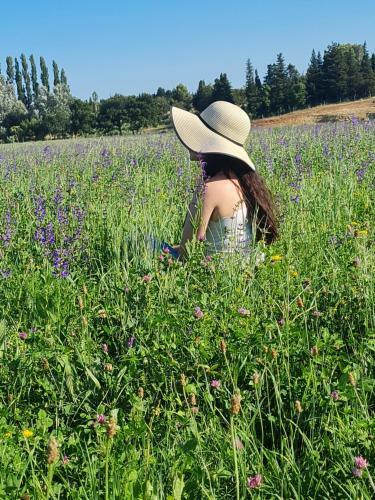 P�querette