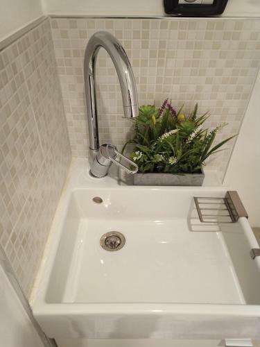 Bed & Breakfast Il Pavone