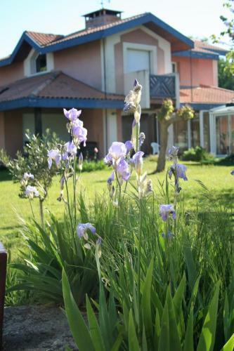 Bed & Breakfast Villa Helianthe