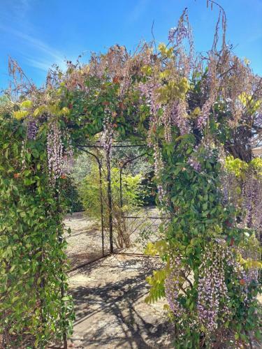 Villa Amarosa Un Havre de Paix