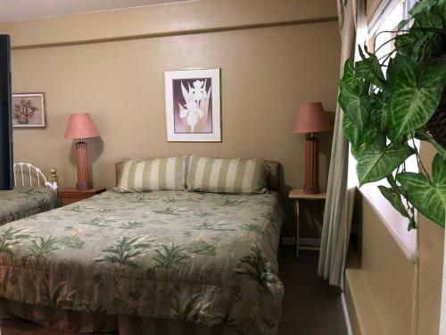 Bed & Breakfast Aloha Alaska Vacation Rentals