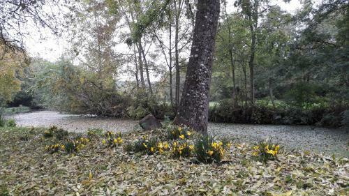 Moulin De Rimer