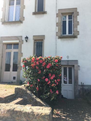 Bed & Breakfast Augustodun'home
