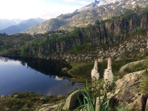 Posada Refuge Des �tangs de Bassi�s