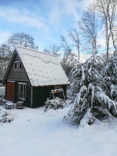 Willowtree Cottage