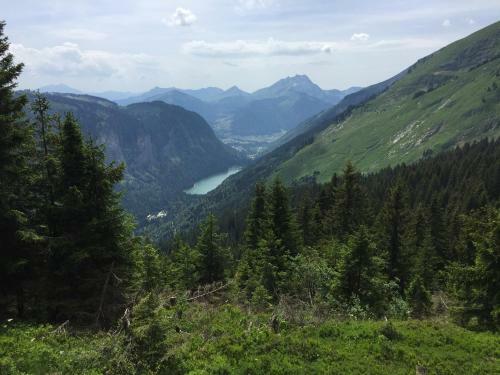 Apartamento Appartement Studio Avoriaz