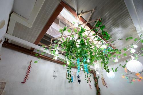 Apartamento Angel House