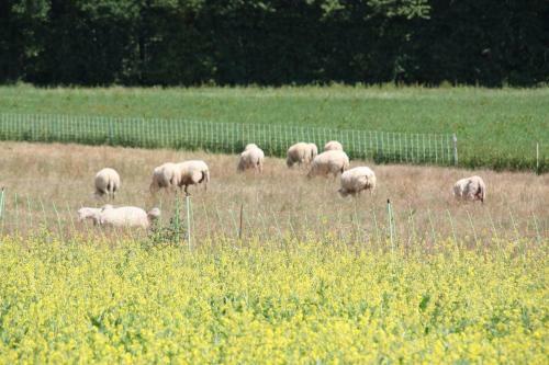Bed & Breakfast La Ferme de Gorgeat