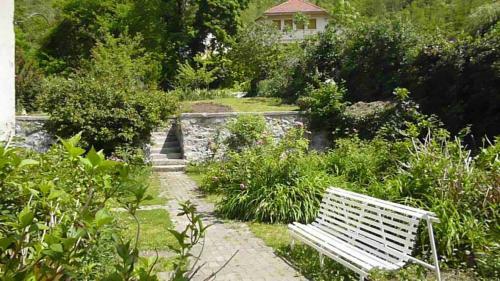 Apartment Coecilia