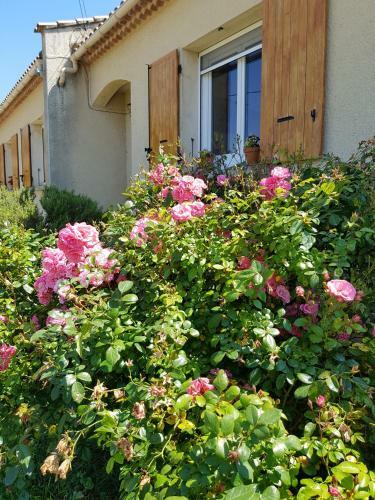 Villa Bel-horizon, Soleil Du Sud