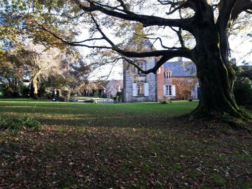 Bed & Breakfast Petit Manoir de La Berthenlaire
