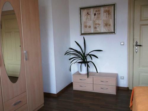 Apartamentos Ferienwohnung Harzgenuss