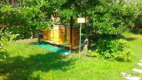 Apartamentos Ferienwohnung Harzgenuss