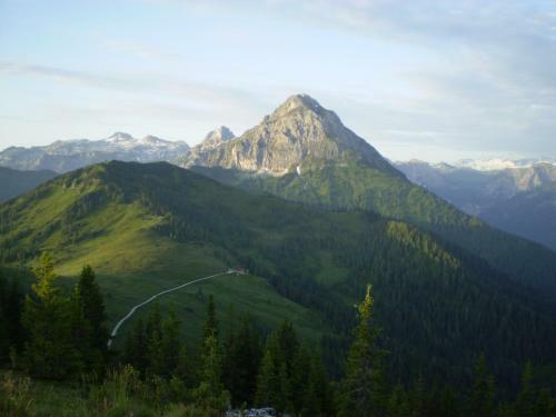 Ferienhaus F�rsterlisl
