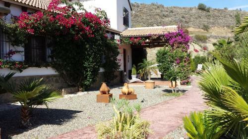 Bed & Breakfast | Guest House Casa Don Carlos