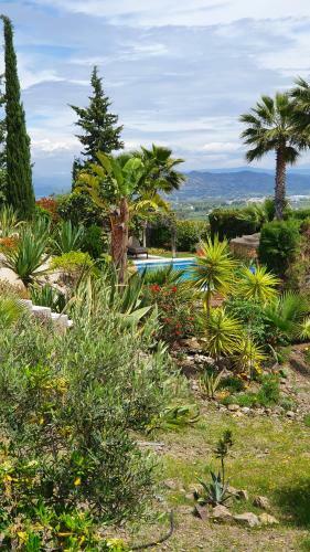 Bed & Breakfast | Guest House Casa Don Carlos