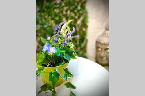 Apartamento Cosy & Spa Jacuzzi "suite Rubis"
